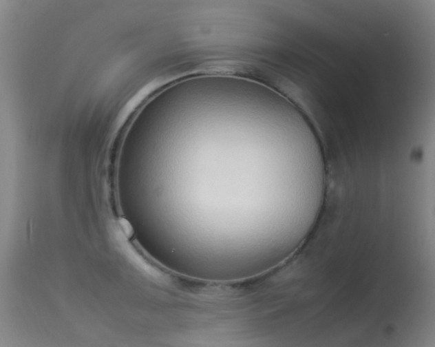 X0000113261091200909171644