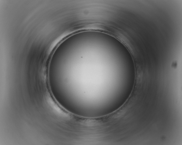 X0000113261092200909171644