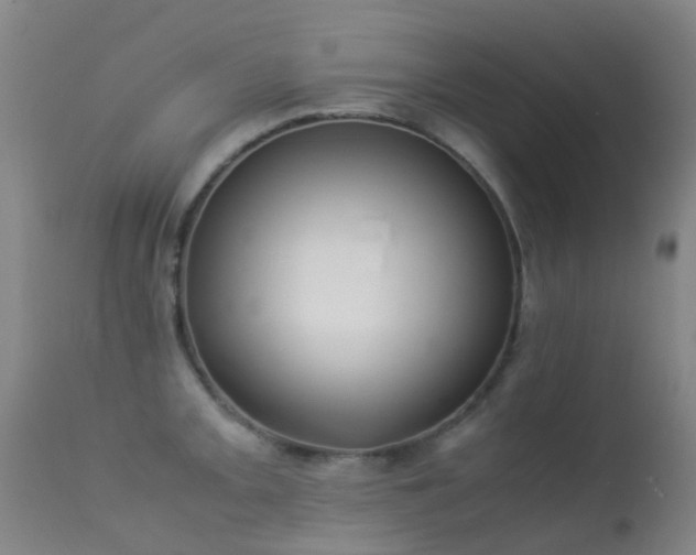 X0000113261093200909171644