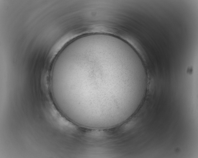 X0000113261094200909171644