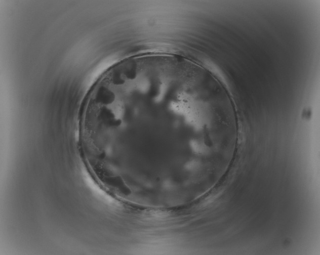 X0000113261095200909171644