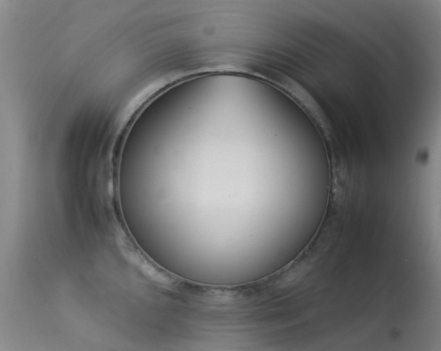 X0000113261096200909171644