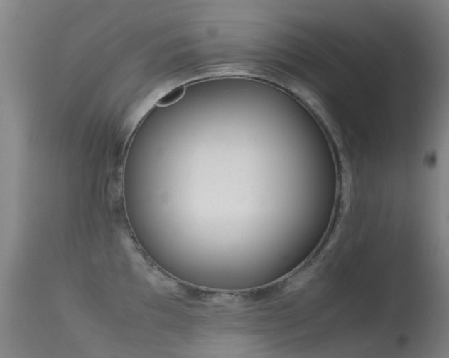 X0000113261097200909171644