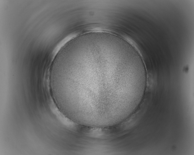 X0000113261098200909171644