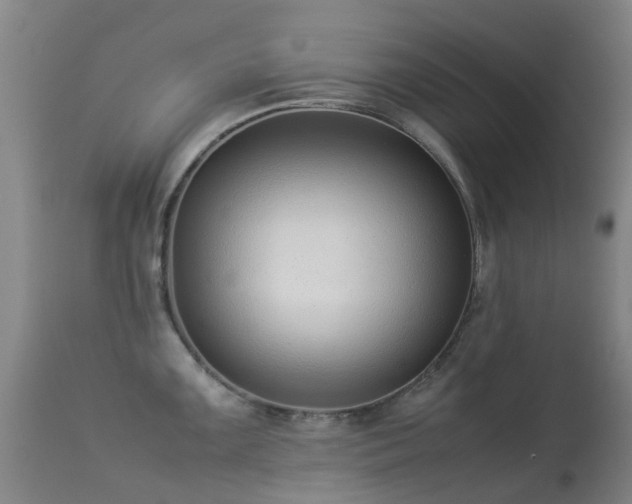 X0000113261099200909171644