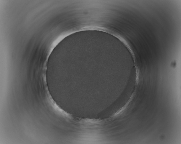 X0000113261102200909171644