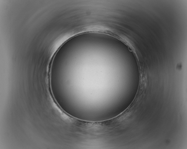 X0000113261103200909171644