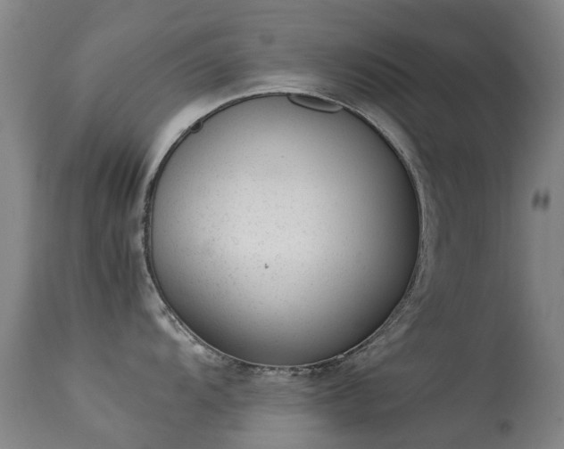 X0000113261104200909171644