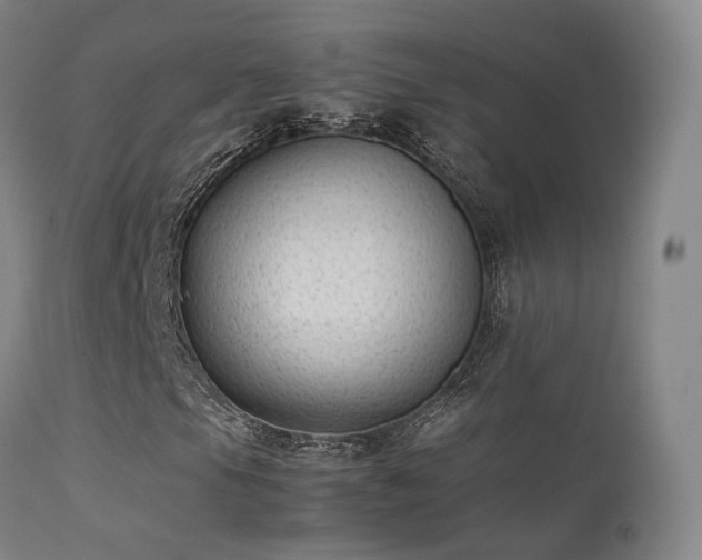 X0000113261105200909171643