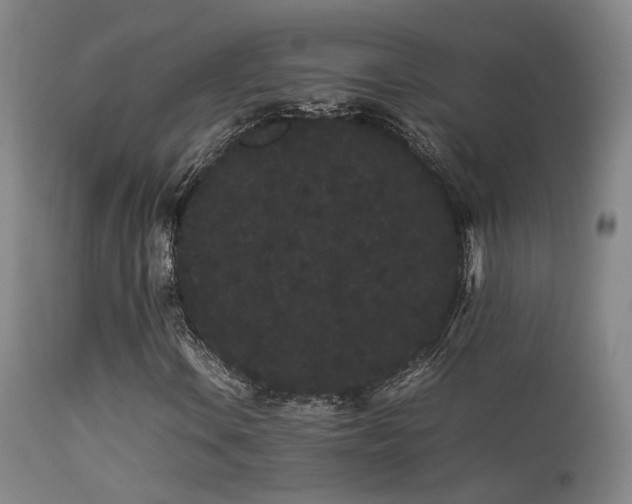 X0000113261106200909171643