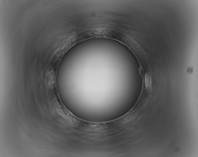 X0000113261107200909171643