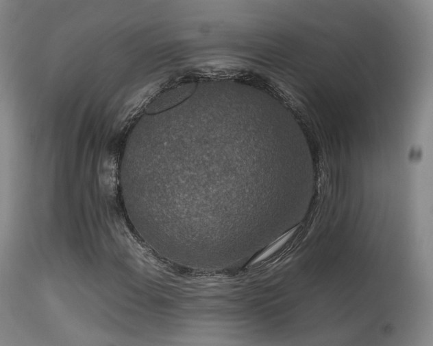 X0000113261108200909171643