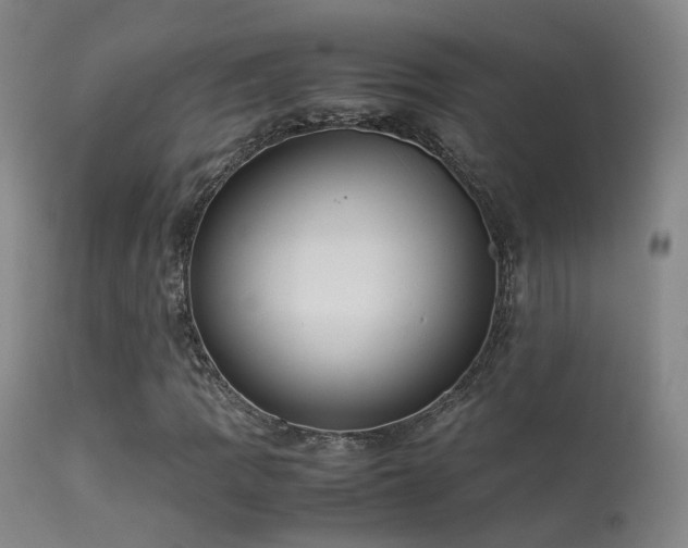 X0000113261109200909171643