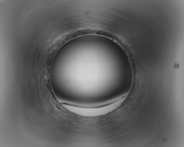 X0000113261110200909171643