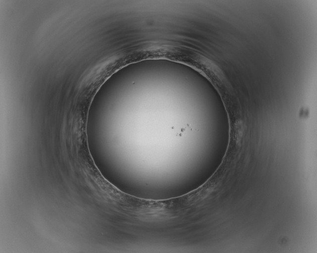 X0000113261111200909171643