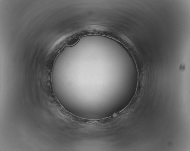 X0000113261112200909171643