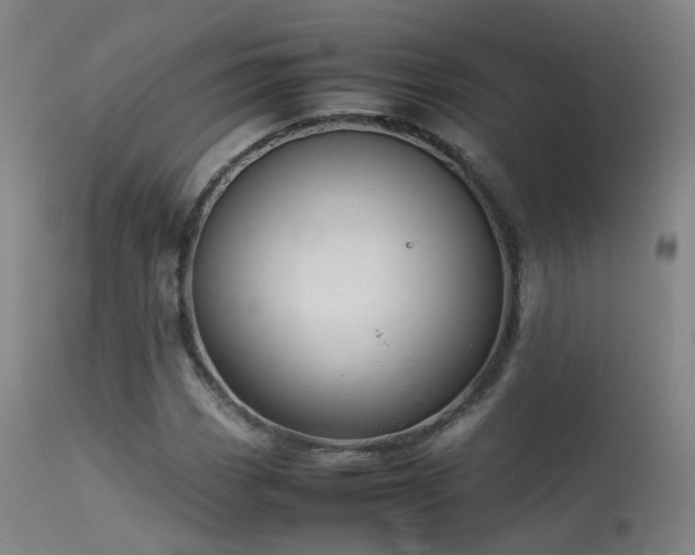 X0000113261113200909171643