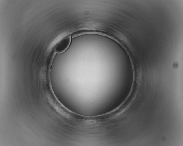 X0000113261114200909171643