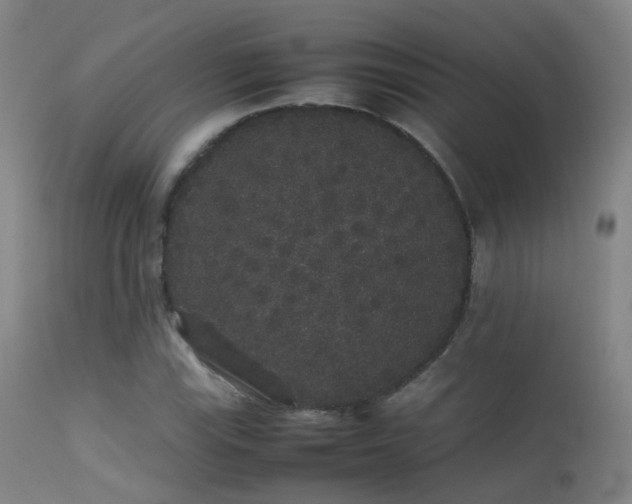 X0000113261115200909171643