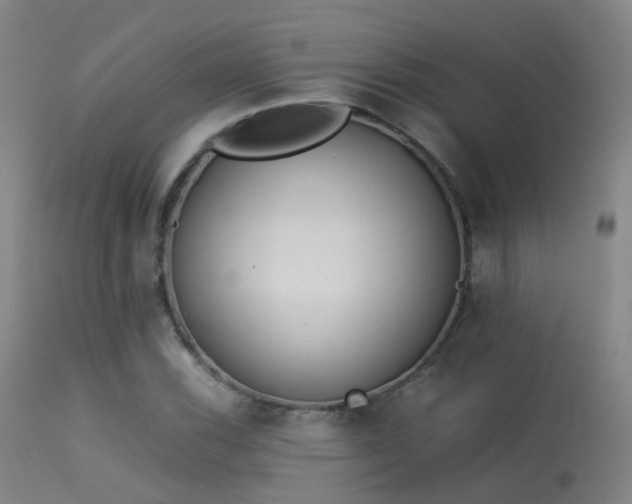 X0000113261116200909171643