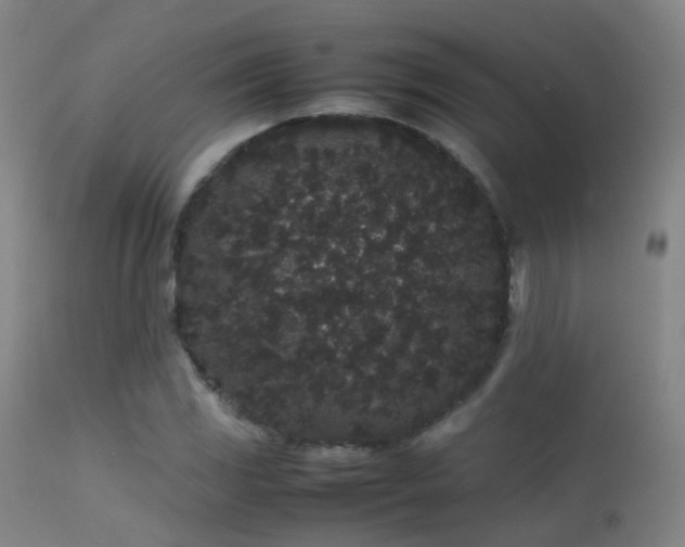 X0000113261117200909171643