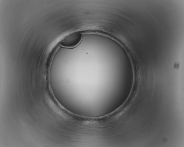 X0000113261118200909171643