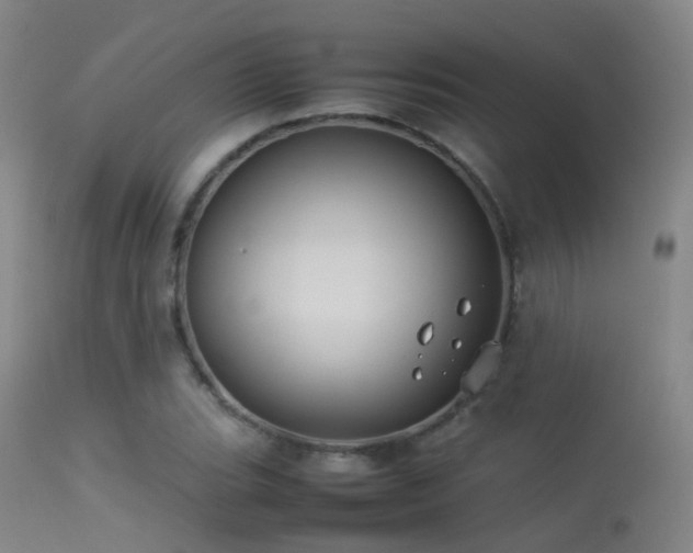 X0000113261119200909171643