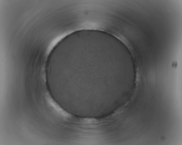 X0000113261120200909171643