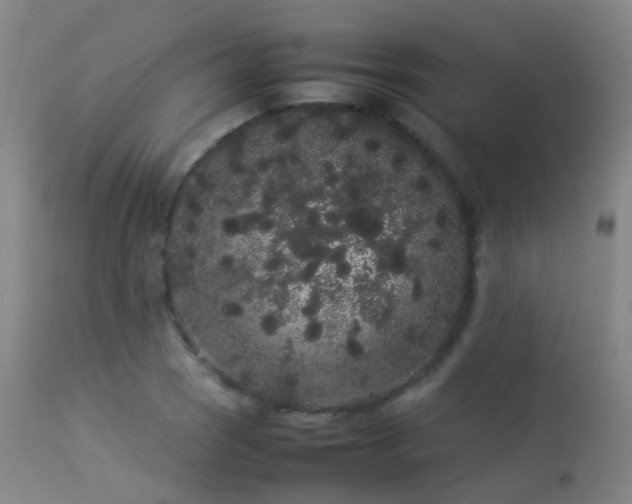 X0000113261121200909171643