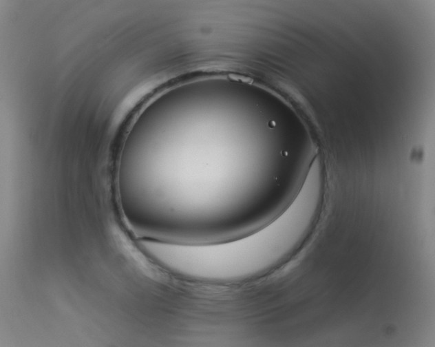 X0000113261122200909171643