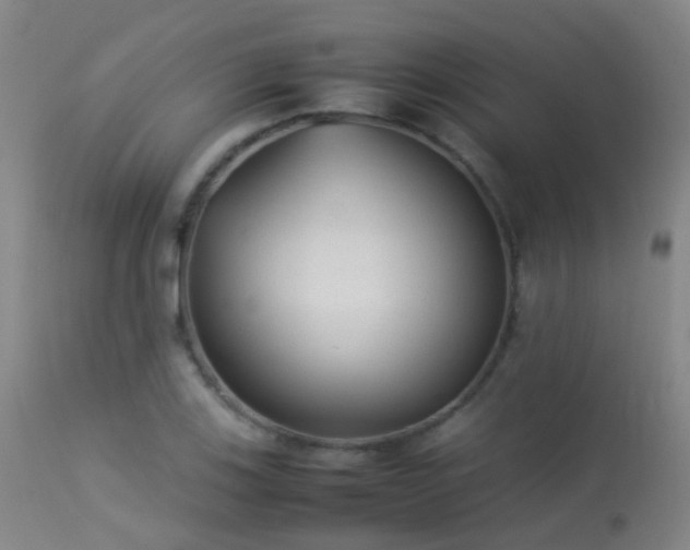 X0000113261123200909171643