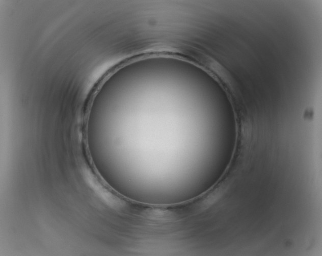 X0000113261124200909171643