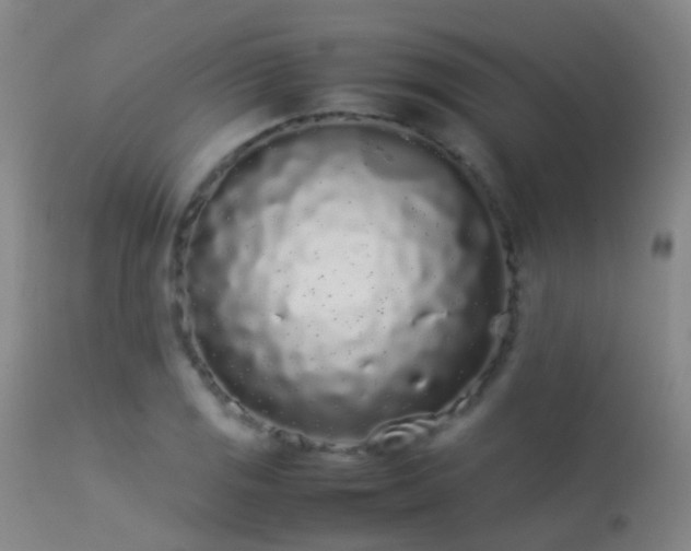 X0000113261125200909171643