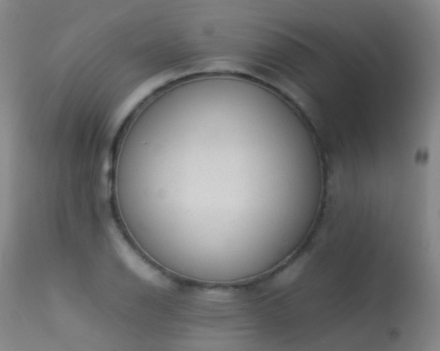 X0000113261126200909171643