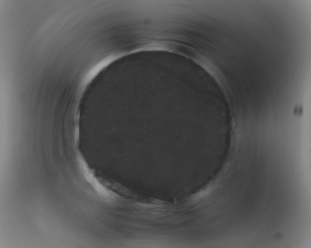 X0000113261127200909171643