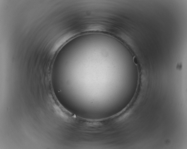 X0000113261129200909171643