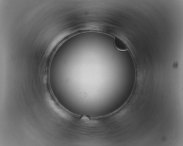 X0000113261131200909171643