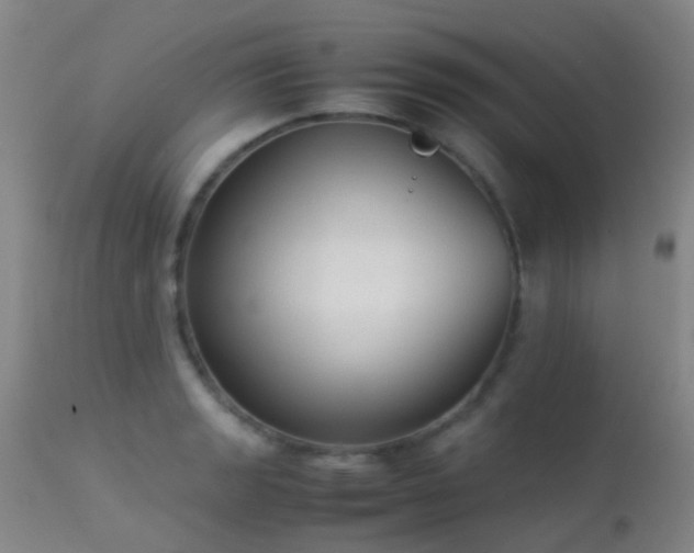 X0000113261133200909171643