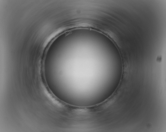 X0000113261134200909171643