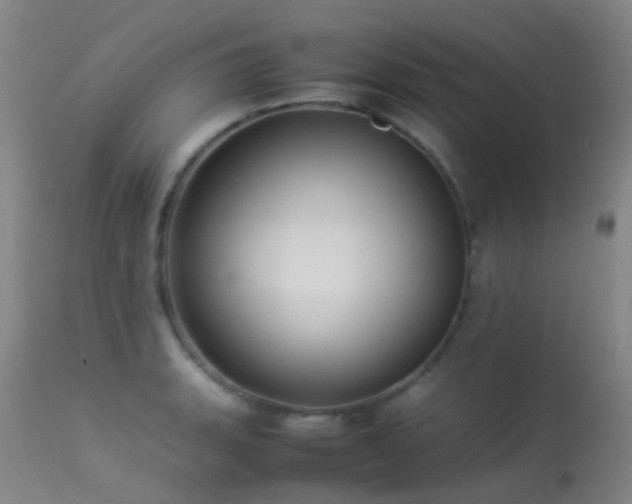 X0000113261135200909171643