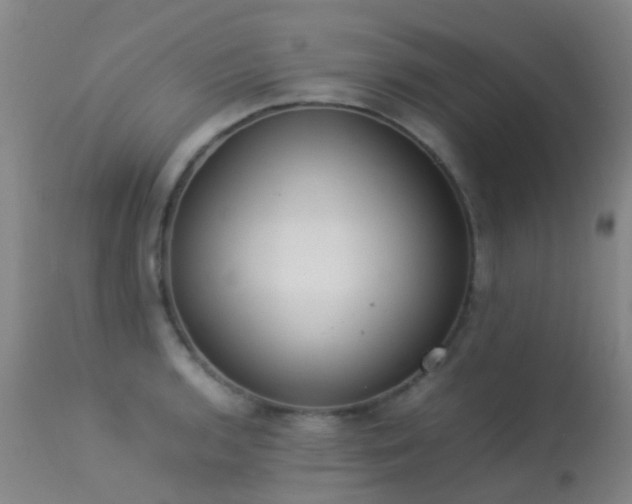 X0000113261136200909171643