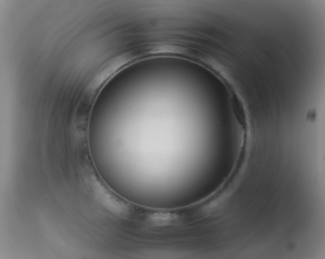 X0000113261137200909171643