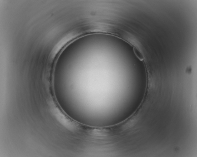 X0000113261138200909171643