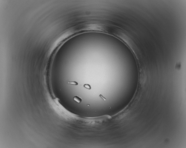 X0000113261139200909171643