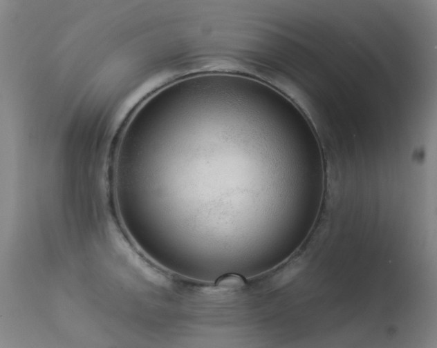 X0000113261142200909171643