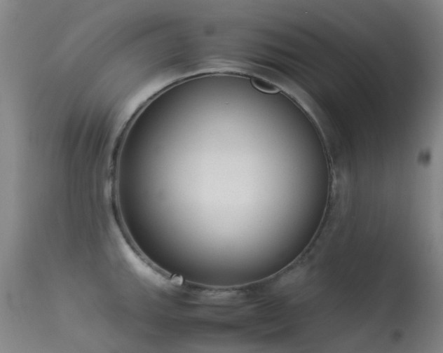 X0000113261143200909171644