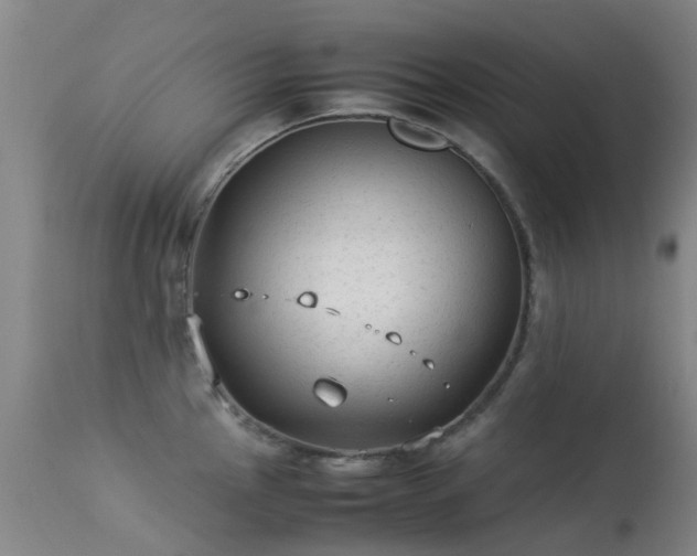 X0000113261145200909171644