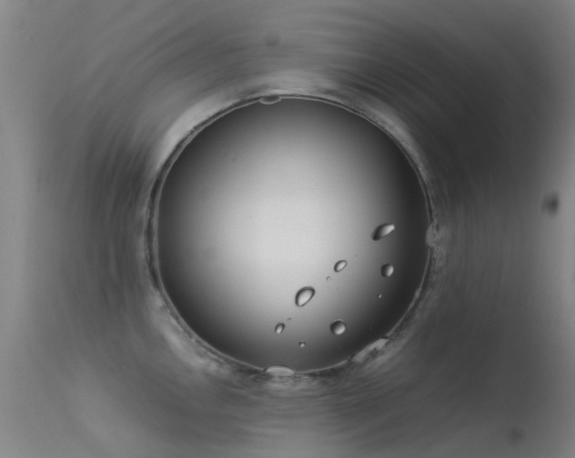 X0000113261146200909171644