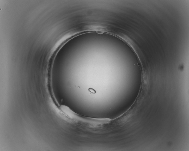 X0000113261147200909171644