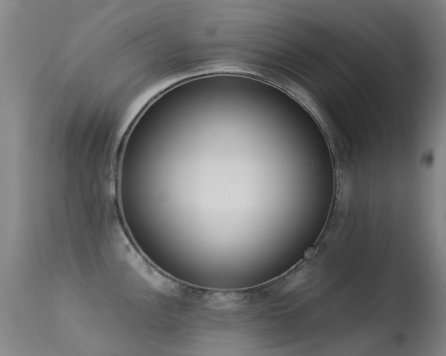 X0000113261148200909171644